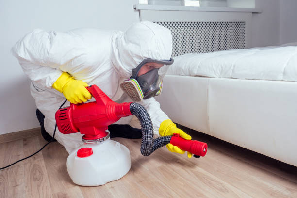 Best Affordable Pest Control Services  in Spanish Lake, MO