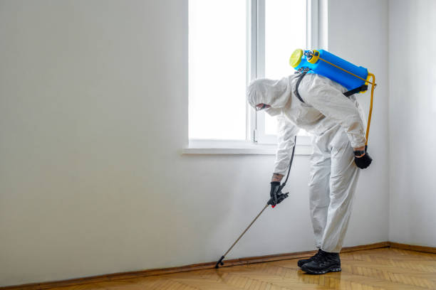 Best Bed Bug Extermination  in Spanish Lake, MO