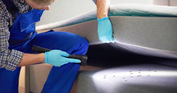 Best Residential Pest Control  in Spanish Lake, MO