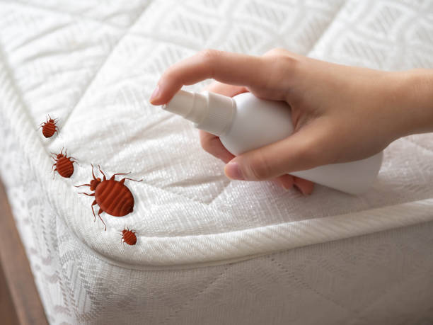 Best Commercial Pest Control Services  in Spanish Lake, MO