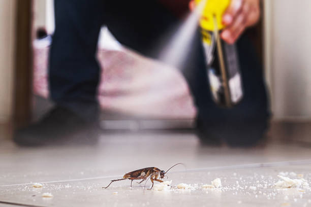 Spanish Lake, MO Pest Control Company