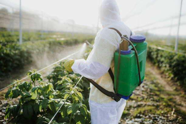 Best Cockroach Control Services  in Spanish Lake, MO